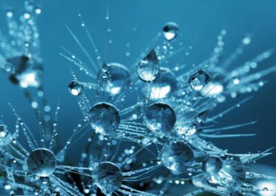 Bubbles